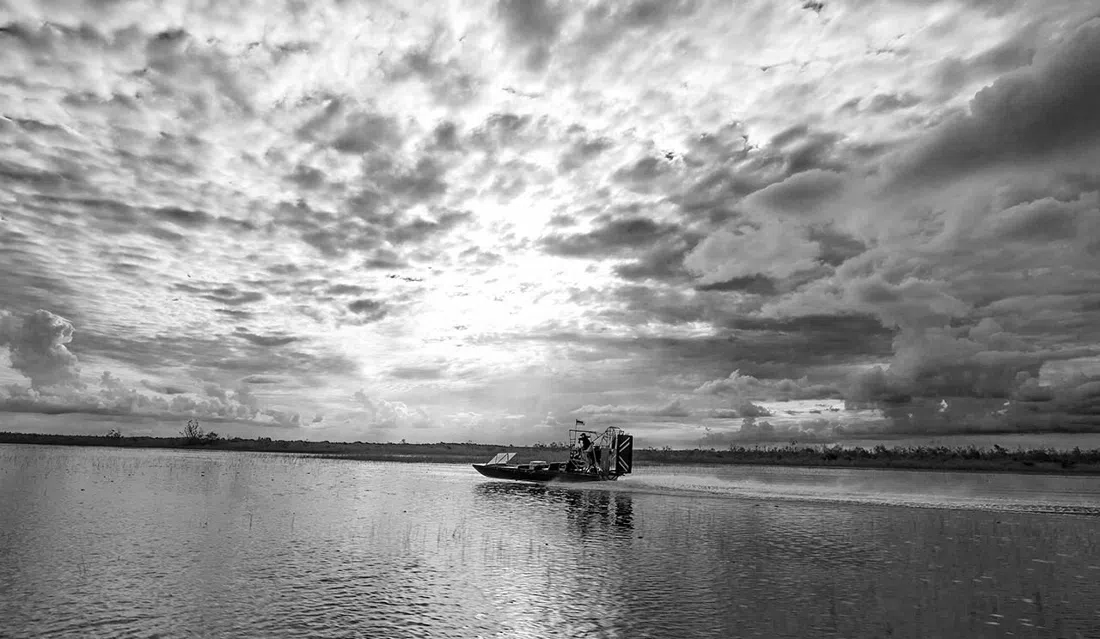 Buffalo Tiger's Airboat Tours, Miami