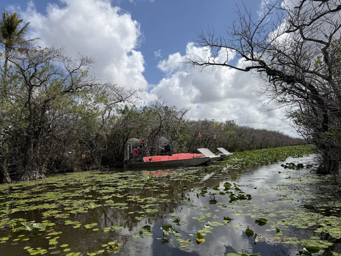 Coopertown Airboats (The Original Coopertown), Miami