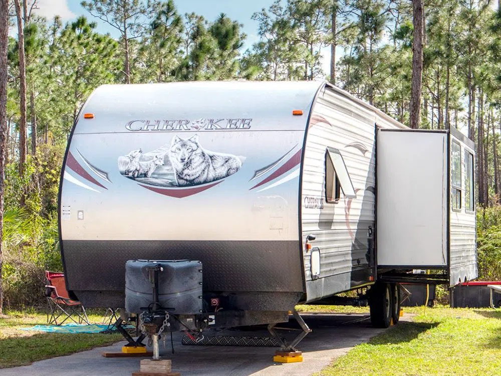 Flamingo Adventures (Everglades National Park Boat Tours), Miami