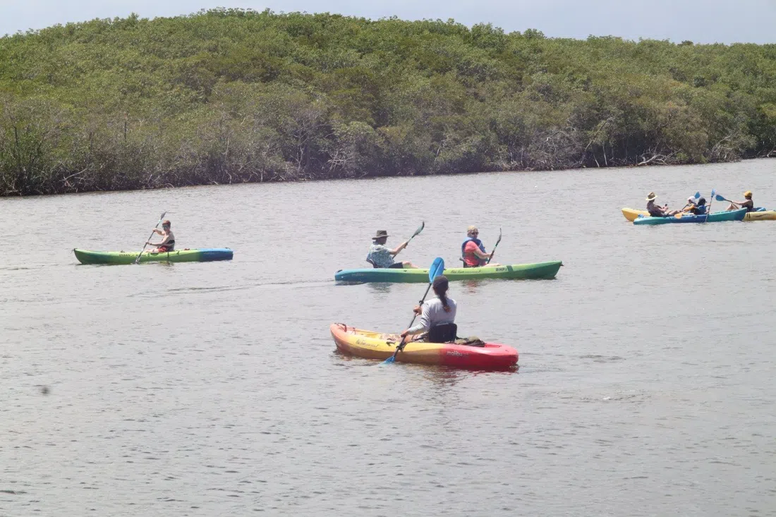 Biscayne National Park Institute — Mangroves & Seagrass / Jones Lagoon paddles, Miami