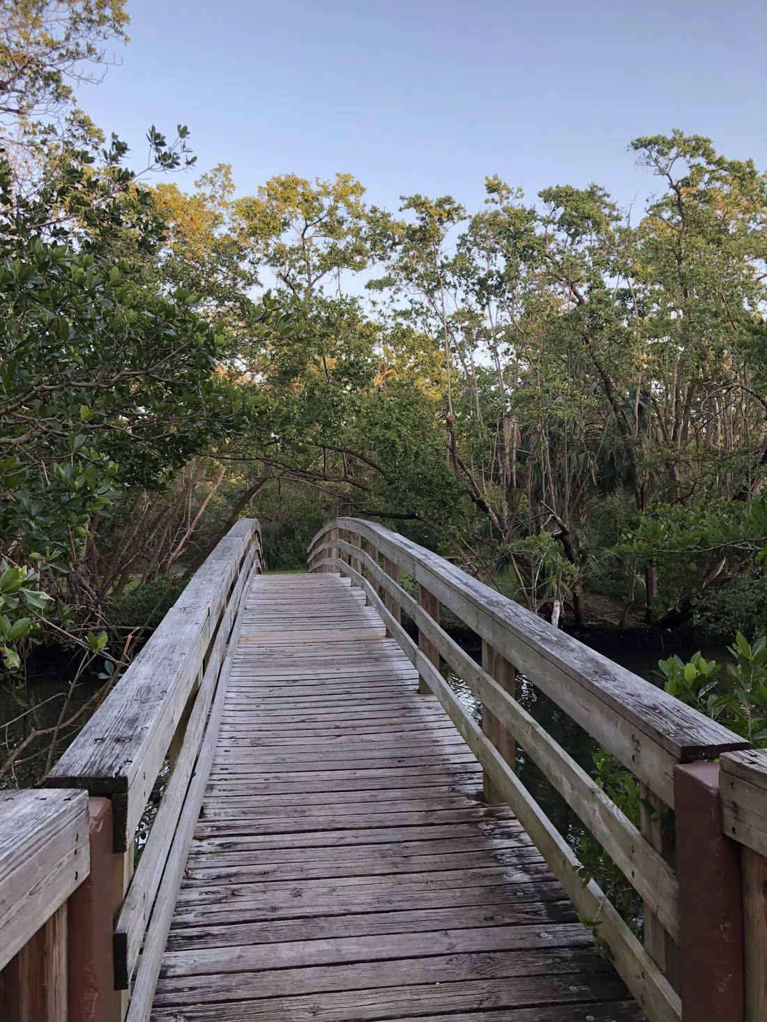 Enchanted Forest Elaine Gordon Park, Miami